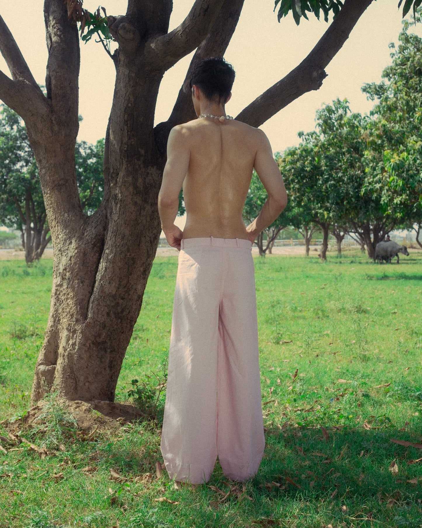 rosewater pants
